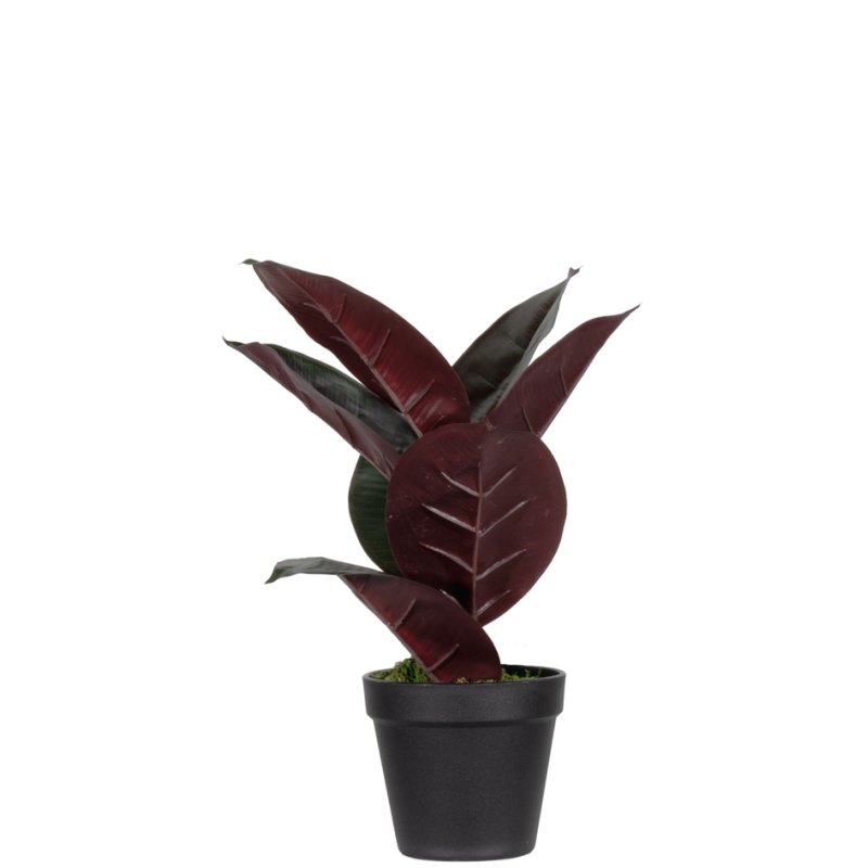 PAPERFLOW plante artificielle ficus, hauteur 360 mm, sans pot